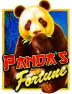 วิธีเล่น sbobet บน มือ ถือ ที่คุณไม่ควรพลาด